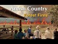 Devastating Forest Fires in Amish Country