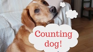 Teaching Stanley to count