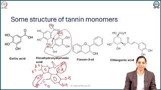Week 4: Lecture 16: Introduction and Classification of Tannins