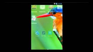 Kingfisher Bird theme for android phone screenshot 1