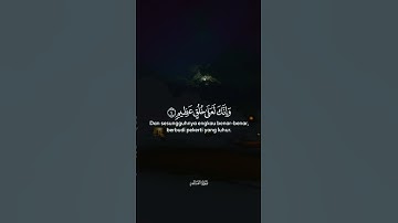 بسم الله الرحمن الرحيم | تلاوة مؤثرة من بداية سورة القلم