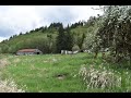 Washington Farm Life:  Spring Bloom and the Summer Harvest