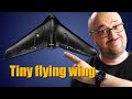 Micro fpv flying wing