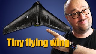 Micro FPV Flying Wing