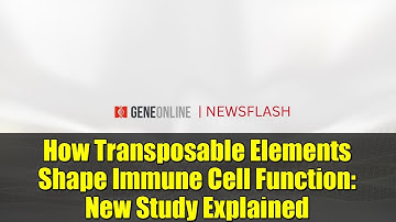 How Transposable Elements Shape Immune Cell Function: New Study Explained