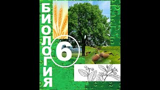 § 20 Водоросли, их разнообразие и значение в природе