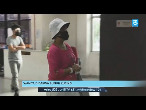 Video: Lelaki Dan Wanita Florida Yang Didakwa Selepas Declaw Maut Kematian Anak Kucing