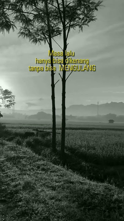 story wa bukit berbunga