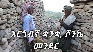 አርጎብኛ ቋንቋ አርጎብኛ ቋንቋ አልሞተም Shonke Village አርጎባ ሐረር ኢፋት