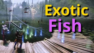 Destiny 2 Fishing Guide