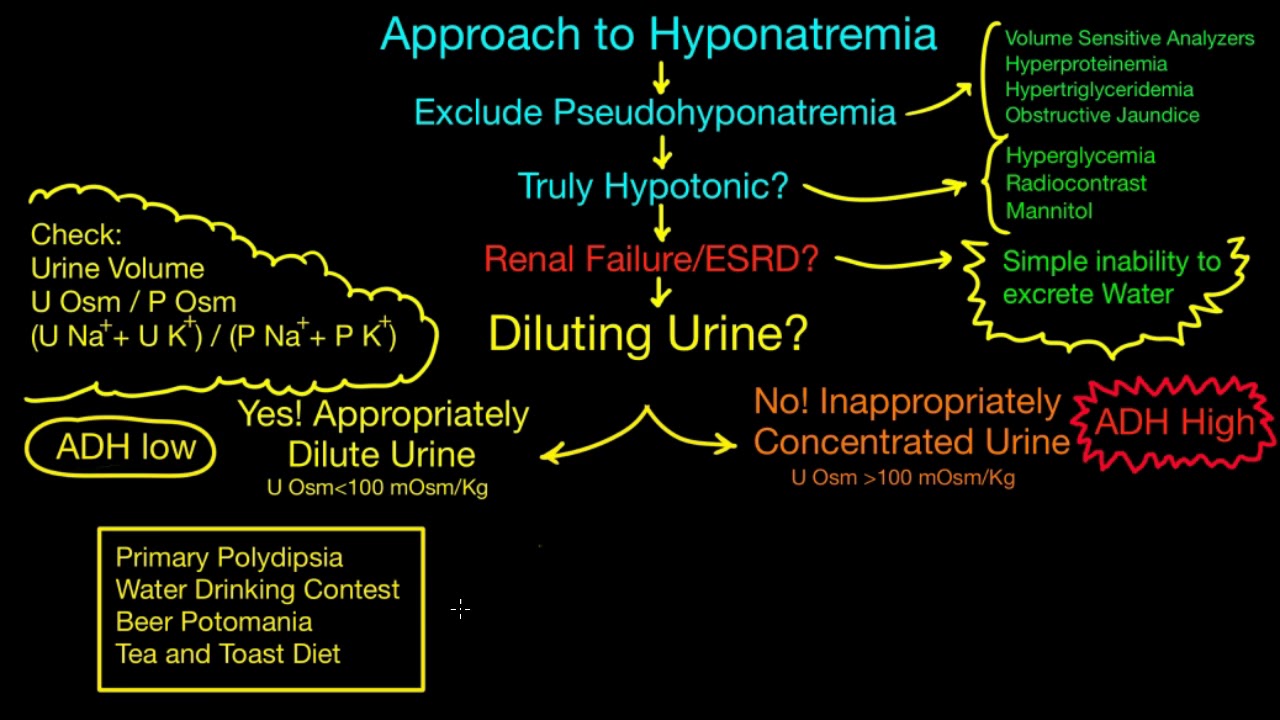 Physiologic Approach to Hyponatremia - YouTube.