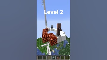 vindicator IQ test in Minecraft World
