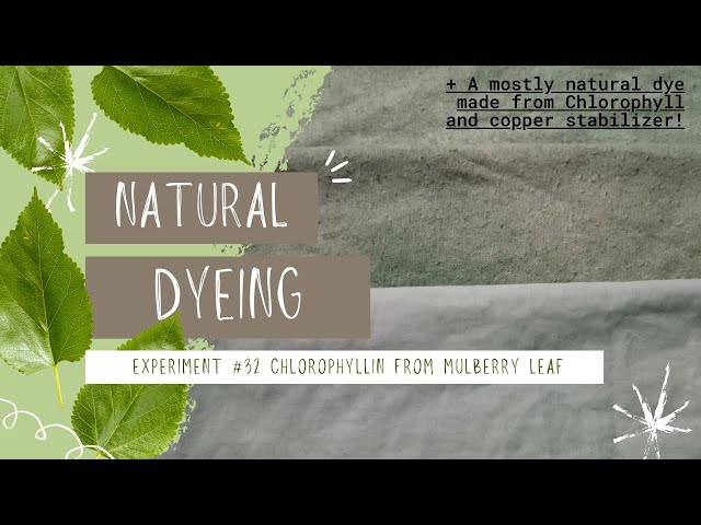 Copper Chlorophyllin Chlorophyll Natural Plant Dye for Yarn