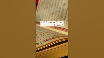 القارئ سعد الغامدي #quran