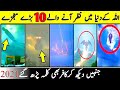 Top 10 Miracles of Allah in the World 2021| Allah ke 10 bhare Mojze | Allah ka Karishma | Mashallah