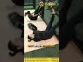 Combat Fire Training for Boxing, Kickboxing, MMA & Jiu-Jitsu | Hawk Fitness 🥊💪