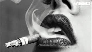 Download lagu Sevdaliza   Alibi feat  Pabllo Vittar & Yseult Dj Dark Remix