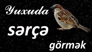 Yuxuda sərçə görmək ☾✵ Qısa Yuxuyozma