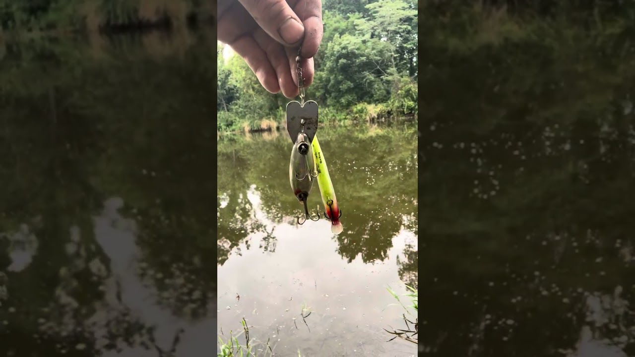 Fun bass fishing 🎣
