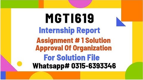 MGTI619 Internship Report Assignment 1 solution mgti619 #mgti619 #vu #virtualuniversityofpakistan