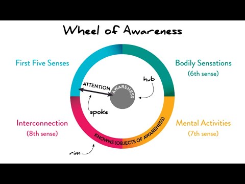 Video: Kā praktizēt “apziņas riteņa” meditāciju