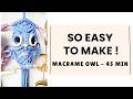 Easy Macrame Owl Tutorial 🦉 | Cute DIY Wall Hanging for Beginners