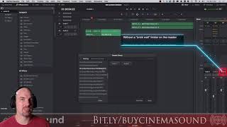 Davinci Resolve Audio Preset Tutorial from Cinema Sound2