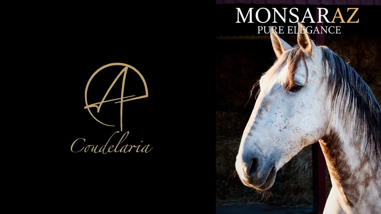 Caballos, Tradición y Paisaje • Horse, Tradition & Landscape • Coudelaria AP