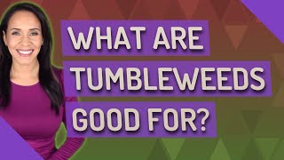 What are Tumbleweeds good for?