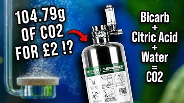 Aquarium CO2 Generator: Grow Stunning Plants on a Budget