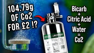 Co2 Generator Cylinder System Tutorial | How Much Co2 is Produced? | DIY vs Pro Co2 for Aquariums