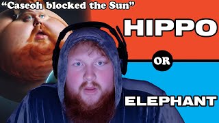 Daily Dose Of Caseoh Media Vod & Would You Rather