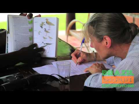 Briding-Wildlife Tours /