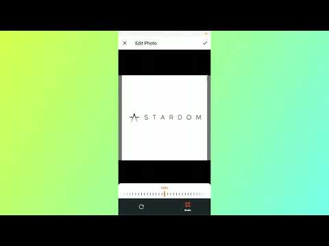 bizzo login