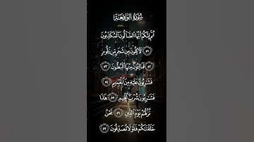 سورة الواقعة ثم إنكم أيها الضالون المكذبون لأكلون من شجر من زقوم الاية ٥١ إلى الآيه ٦١
