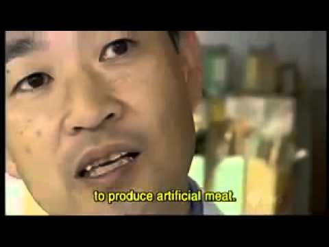 მეცნიერებმა სინთეტიკური ხორცი შექმნეს