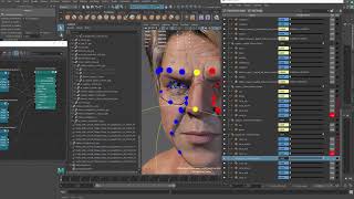joint based facial expression 15 nasolabial fold mirroring