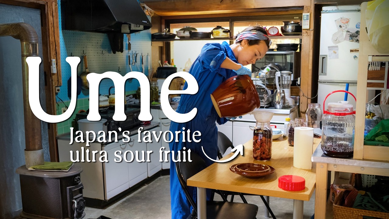 I made umeboshi using our own ume plums (plus other sour recipes from the Japanese countryside)