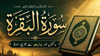 Surah baqarah fast recitation 🕋 Surah Baqarah Full Quran Recitation | Heart Touching Tilawat