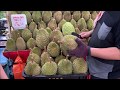 Durian Musang King Mao Shan Wang at Durian Prince 12/2 Taman Nusa Bestari Skudai Johor Malaysia