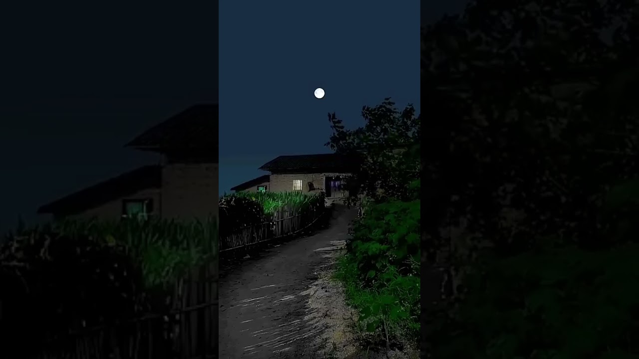 1 second shot 🫥🫥 