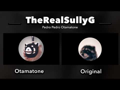 Pedro Pedro Otamatone (Side by Side Comparison)