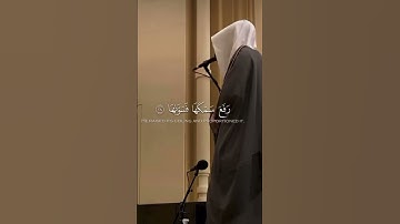 #قرآن #اكسبلور #قران_كريم #تلاوة_خاشعة #تلاوات #هدوء #مسجد #صلاة