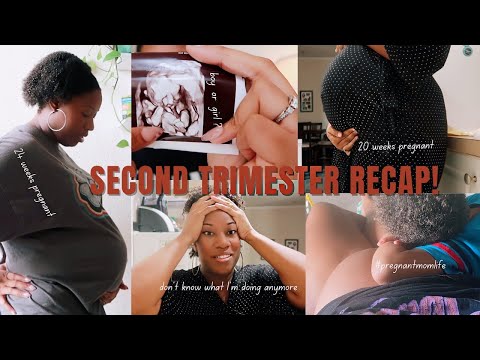 SECOND TRIMESTER RECAP/14-27 WEEKS PREGNANT/SYMPTOMS,MEDICATIONS APPOINTMENTS,BODY CHANGES&HG UPDATE