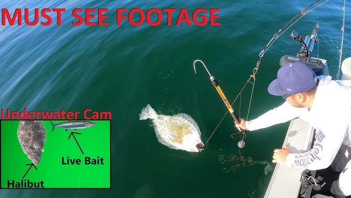 Keeper Halibut From Shore [Insane California Saltwater Fishing] 