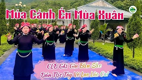 Múa Cánh Én Mùa Xuân - CLB Giữ Gìn Bản Sắc Dân Tộc Tày Võ Lao Lào Cai | Thanh Quang Tây Bắc