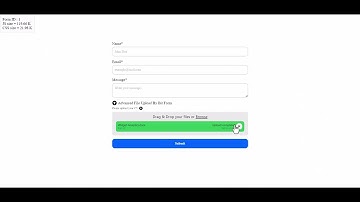Basic Functionality of Advanced File Upload in Bit Form