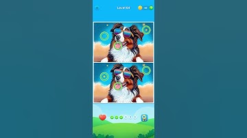 Spot and Find the Differences Level 64 dog pic