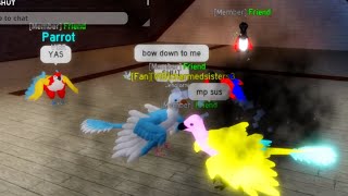 playing feather family! It was just AUUGGGG. (Playing with,super fat duck(read description for more! Resimi