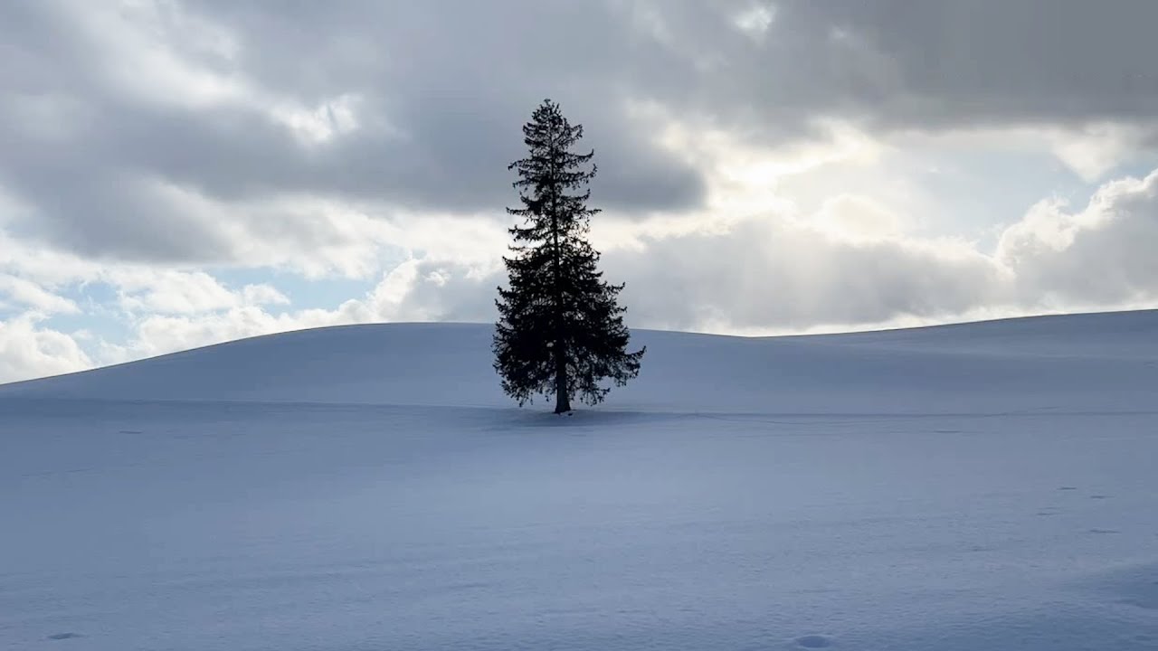 [야외 방송] 삿포로 비에이조,유명한 곳 형독이랑 돌아다니기